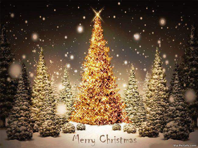 Merry Christmas from Seattle Talent